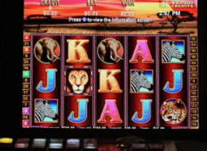 HB火博·体育官方正版手游最新版